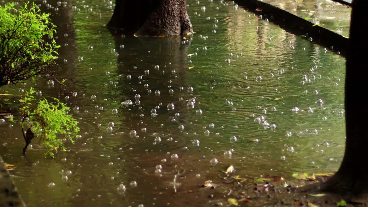 泡沫在雨中视频素材