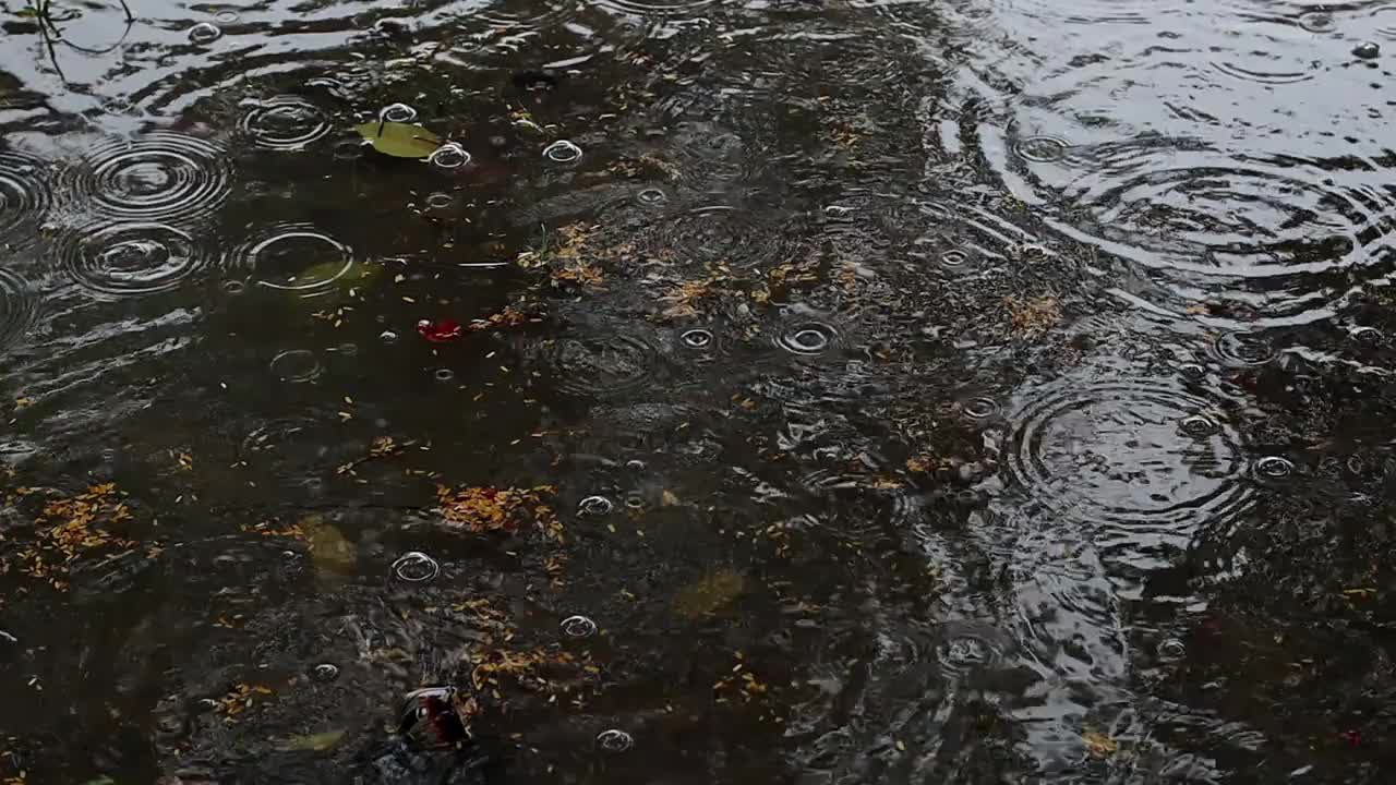 慢镜头降雨视频素材