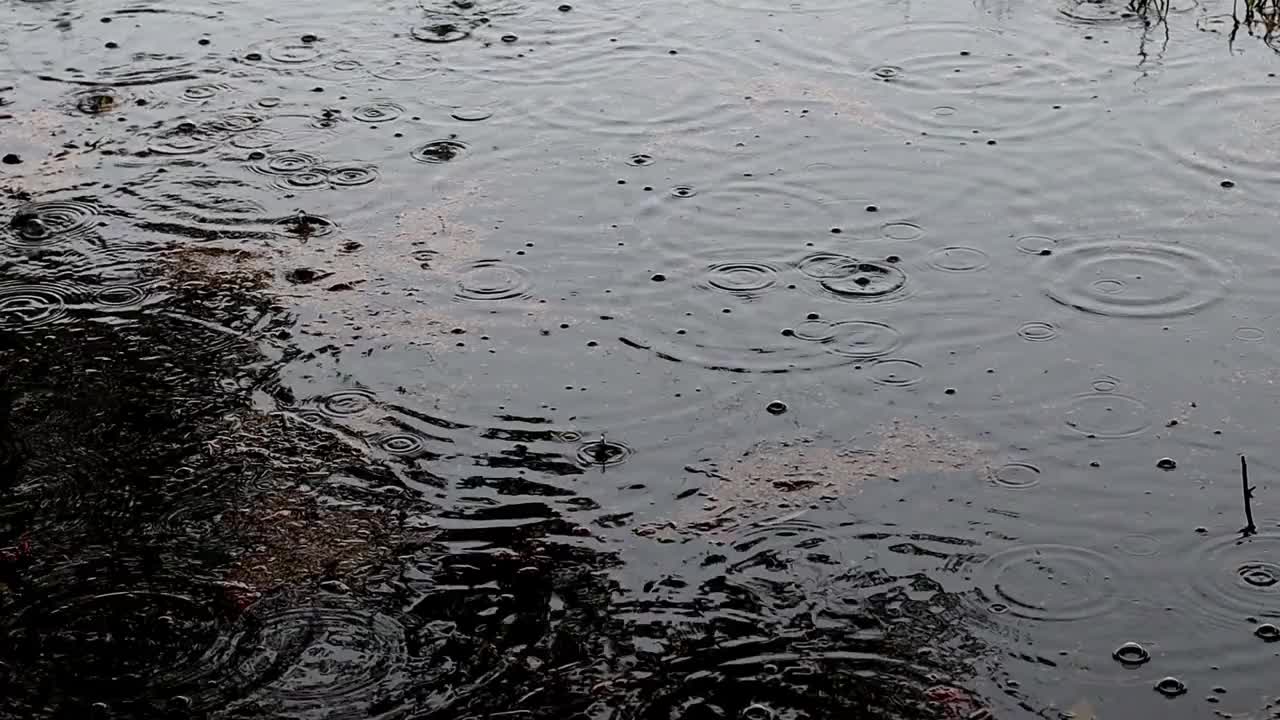 慢镜头降雨视频素材