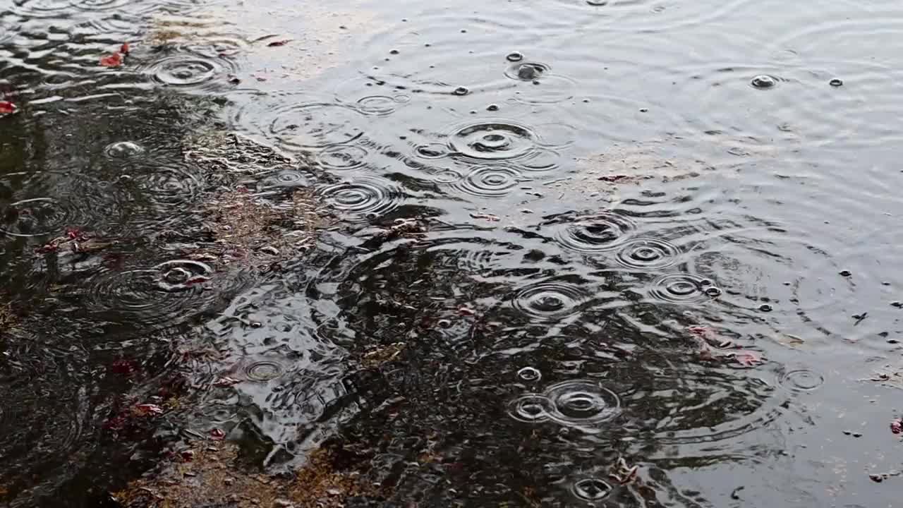 慢镜头降雨视频素材