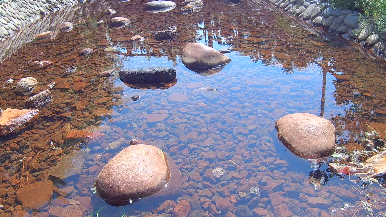 公园里的池塘视频素材