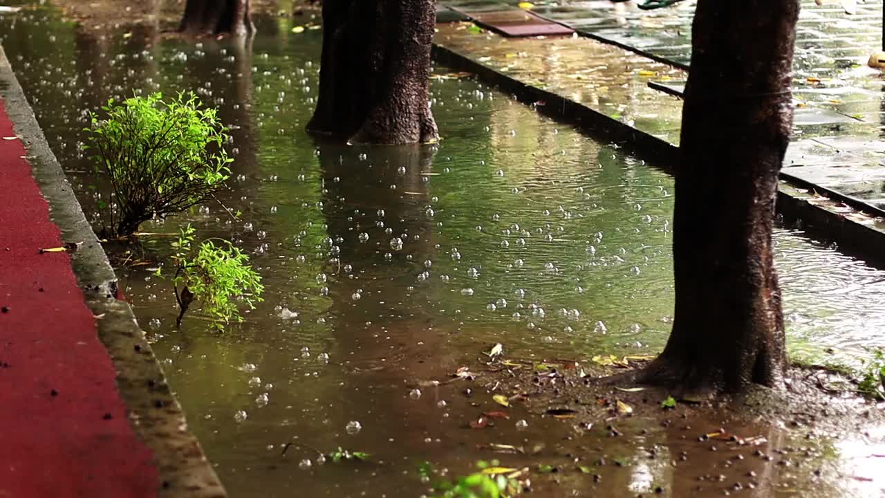 Slo Mo，公园大雨期间的泡泡视频素材