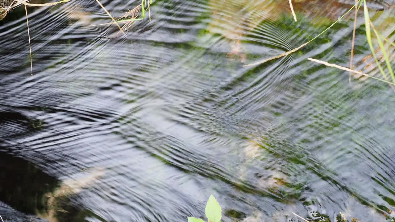 在农业灌溉渠内流动的全框架水。视频素材