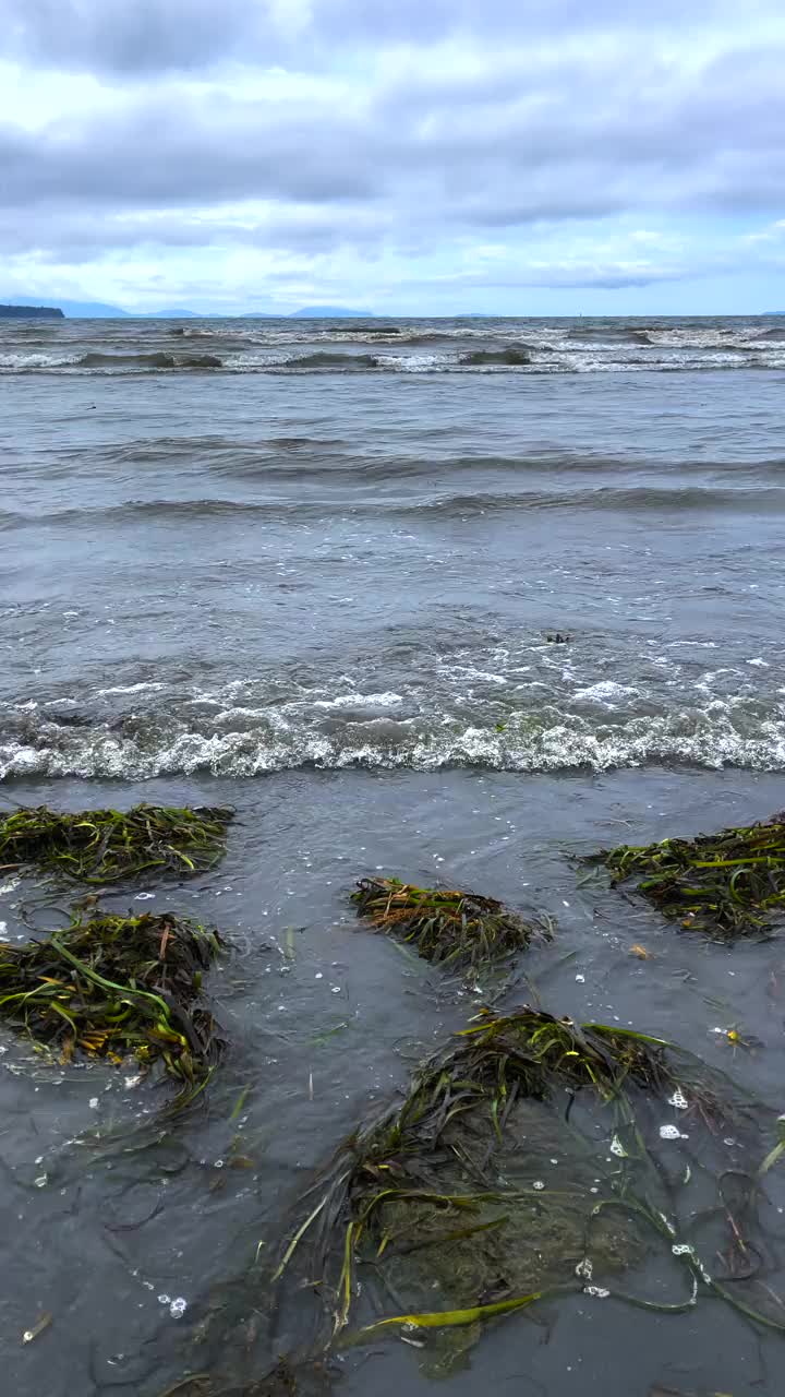 海浪视频素材