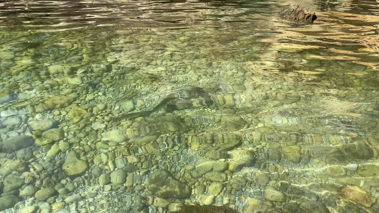 海水清澈透明，有卵石，海底有卵石。在海水中捕鱼。清洁的夏季海水。地中海沿岸的卵石滩。禅。放松。美丽的海景。绿色的水。视频素材