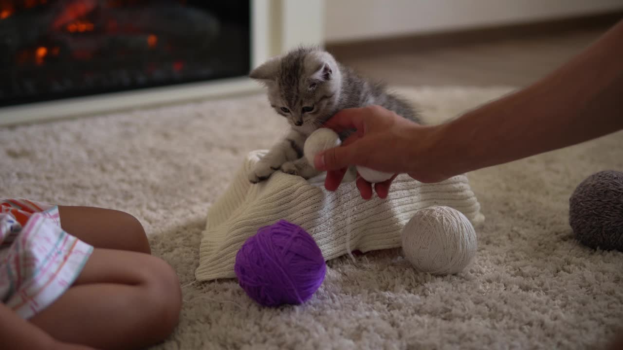 宝宝和小猫玩。Tomcat在地毯上靠近燃烧的壁炉在家里舒适。条纹小猫玩线球。凯蒂跑去看摄像机。快乐可爱的宠物，童年，野性自然的概念视频素材