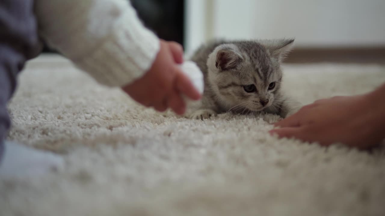 宝宝和小猫玩。Tomcat在地毯上靠近燃烧的壁炉在家里舒适。条纹小猫玩线球。凯蒂跑去看摄像机。快乐可爱的宠物，童年，野性自然的概念视频素材