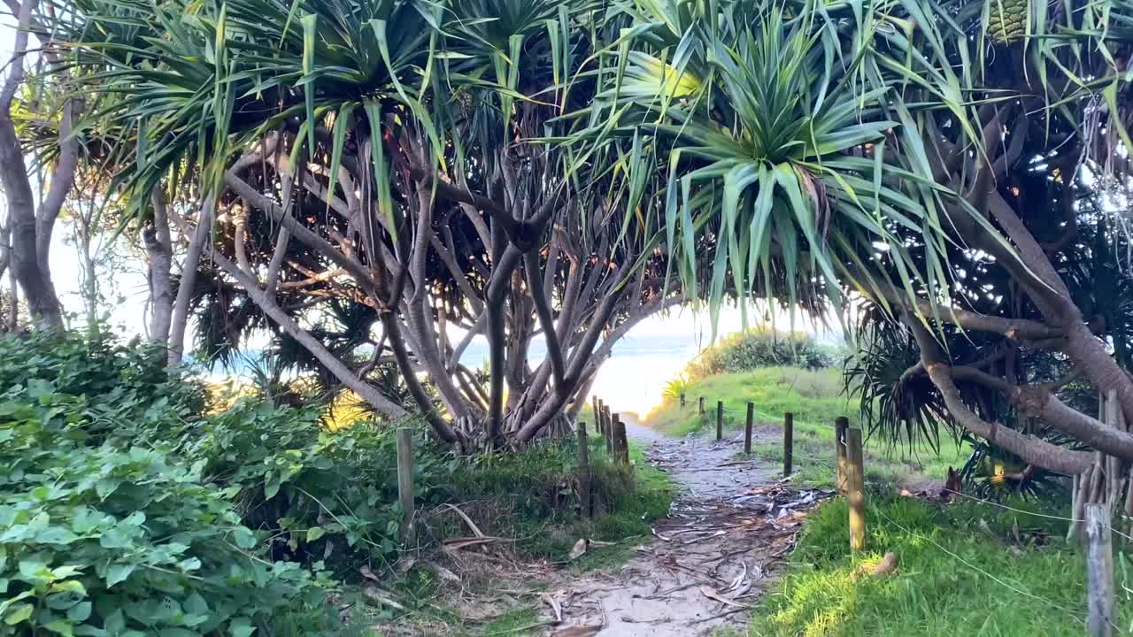 沙滩步道的海滩景色视频素材