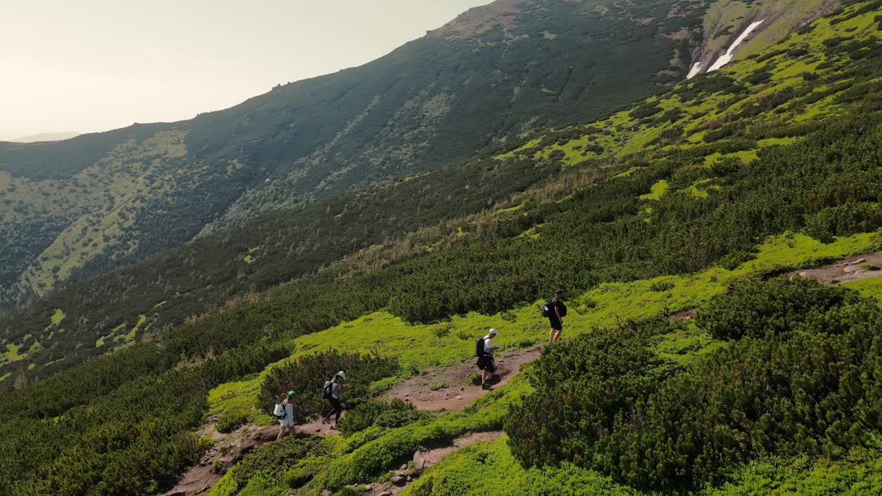 一群游客沿着山路爬上了山顶。四个徒步旅行者背着背包走到山顶。鸟瞰，游客侧视。徒步旅行视频素材