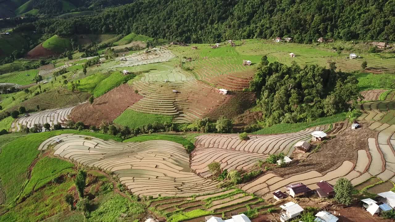 鸟瞰山上的稻田视频素材