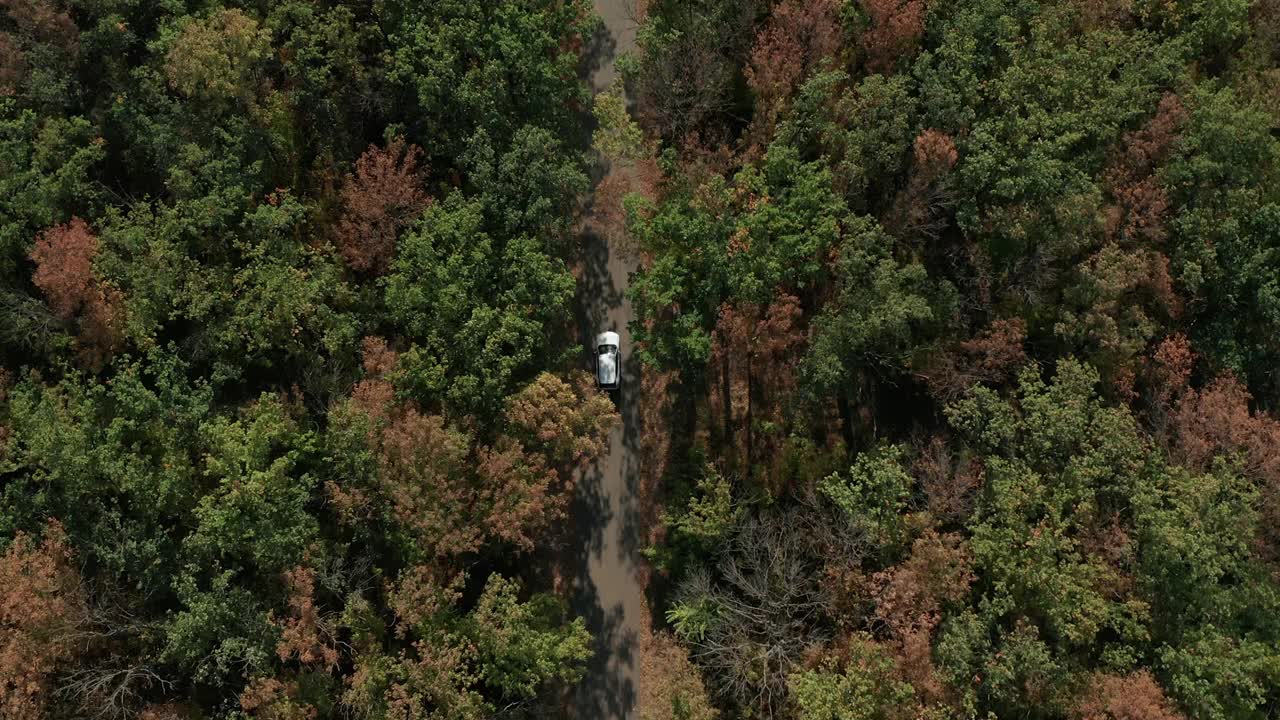 鸟瞰图的白色汽车驾驶在乡村道路在森林在。视频素材