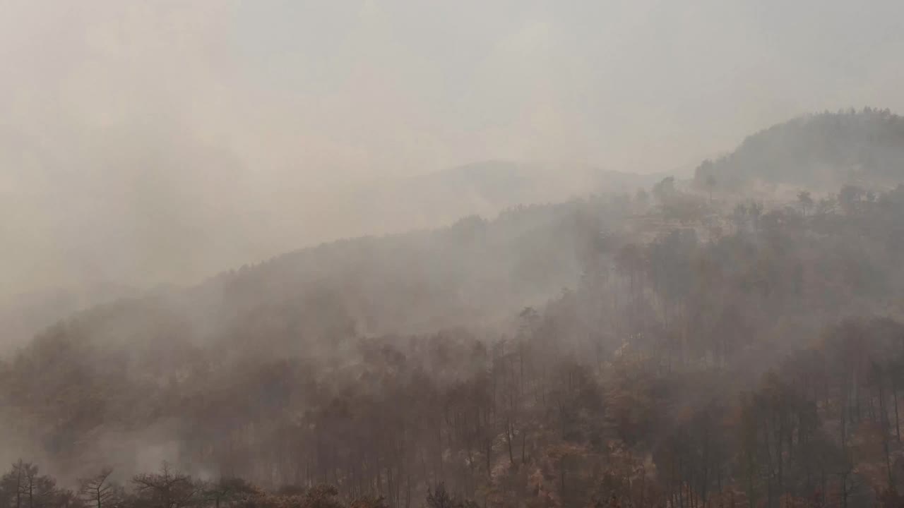 Manavgat森林大火视频素材