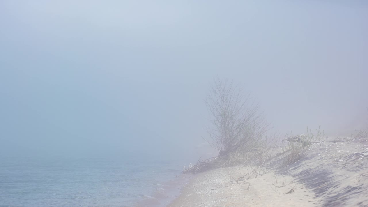 雾蒙蒙的密歇根湖海岸线和布什视频素材