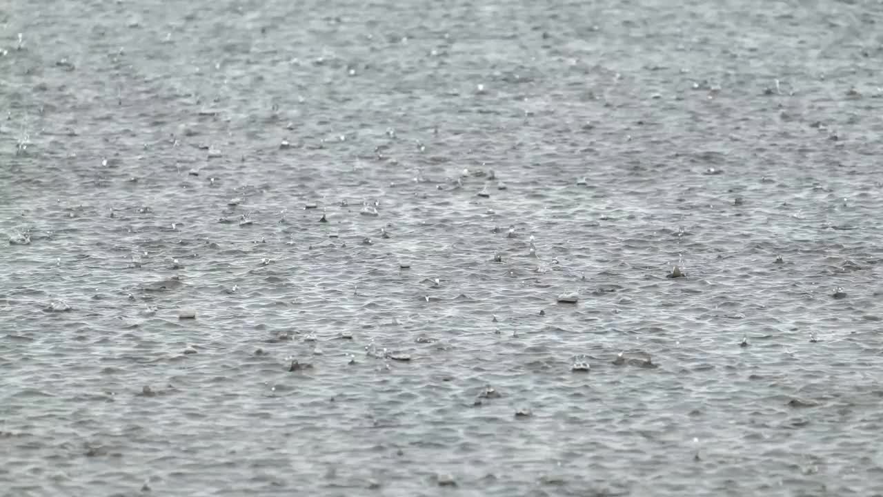 夏天水面上的大雨视频素材