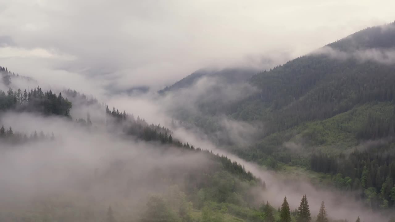 透过雾看喀尔巴阡山脉视频素材