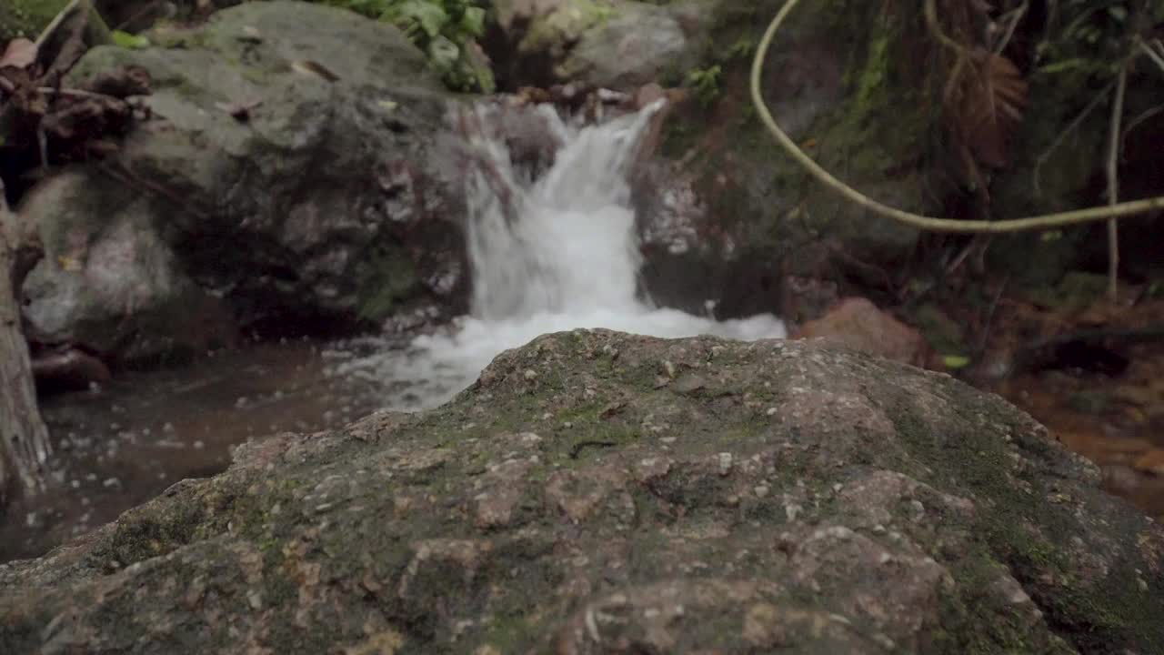 热带雨林里水流湍急。小瀑布清澈的水。山上美丽的小溪。小溪在森林深处的石头间流淌。丛林中急流、瀑布、河流奔流。马来西亚Gunung Lambak国家公园。视频素材