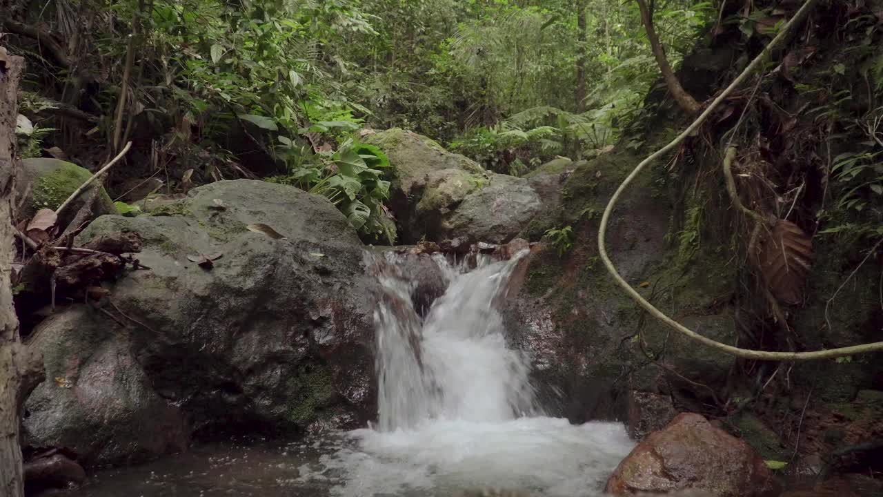 热带雨林里水流湍急。小瀑布清澈的水。山上美丽的小溪。小溪在森林深处的石头间流淌。丛林中急流、瀑布、河流奔流。马来西亚Gunung Lambak国家公园。视频素材