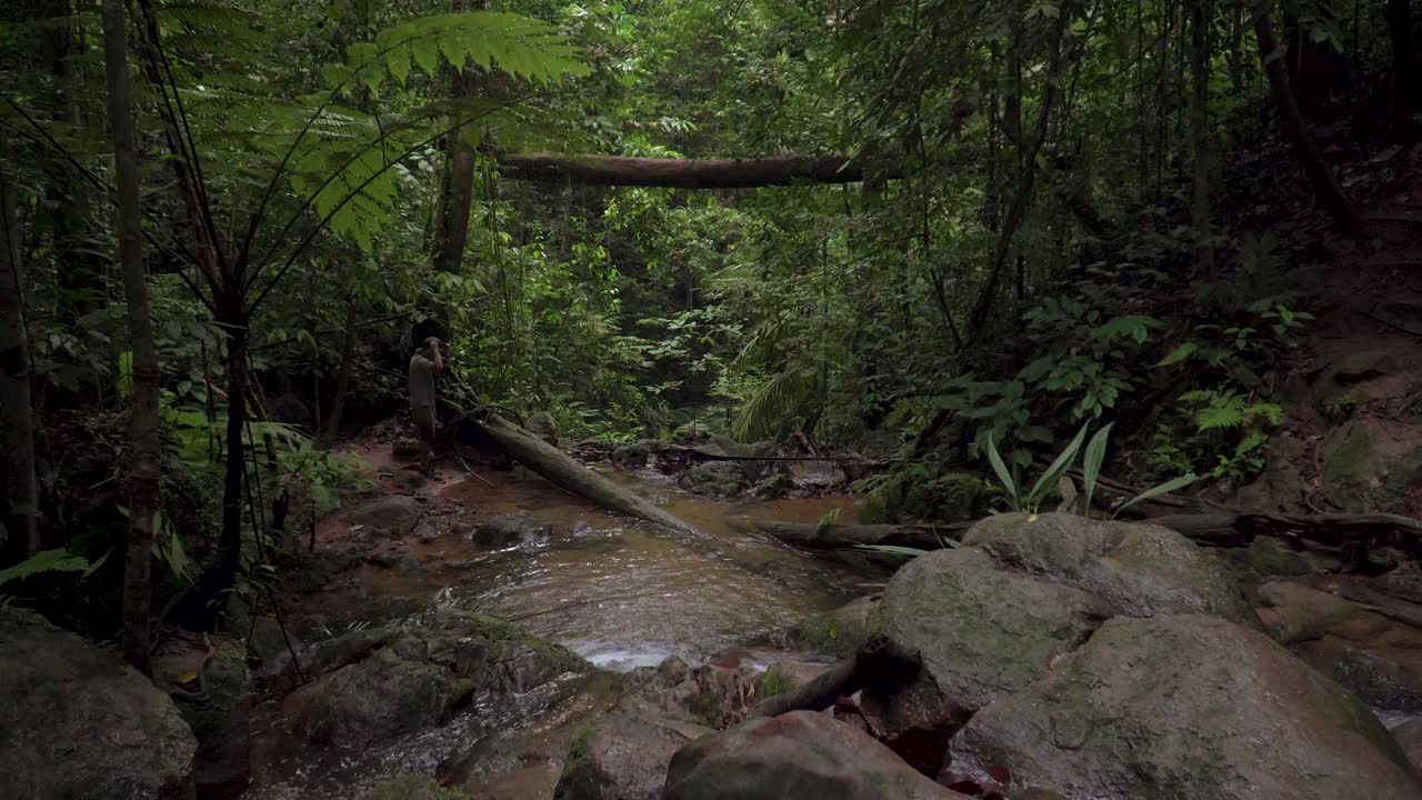 男性旅行者徒步旅行者四处寻找探索和发现山的河流在丛林手电筒。美丽浓密的树叶，热带雨林中流淌的小溪景色。马来西亚古南巴克，冒险和极限旅游。视频素材