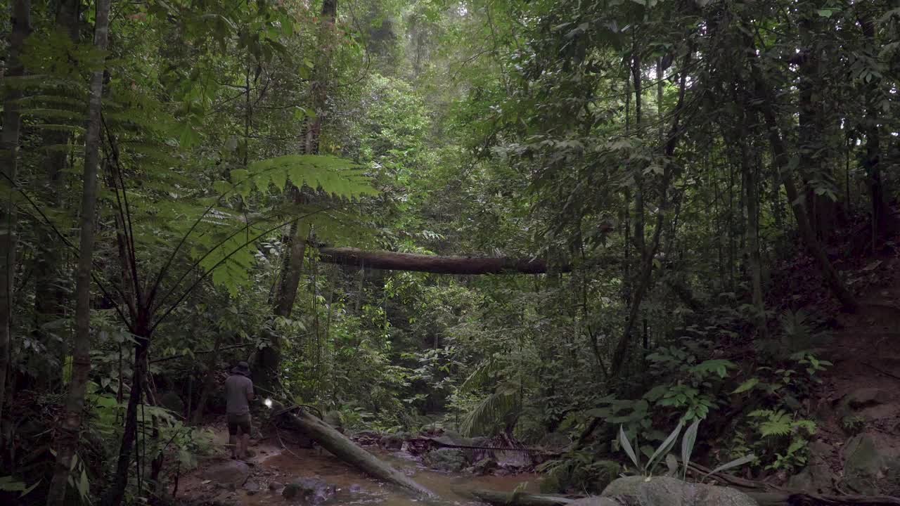 男性旅行者徒步旅行者四处寻找探索和发现山的河流在丛林手电筒。美丽浓密的树叶，热带雨林中流淌的小溪景色。马来西亚古南巴克，冒险和极限旅游。视频素材