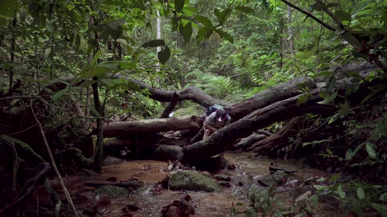 男性旅行者徒步旅行者四处寻找探索和发现山的河流在丛林手电筒。美丽浓密的树叶，热带雨林中流淌的小溪景色。马来西亚古南巴克，冒险和极限旅游。视频素材