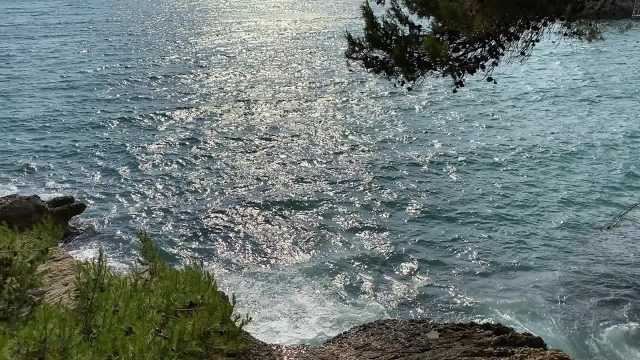 傍晚，银光闪闪的海水。松枝掠过平静的大海。视频素材