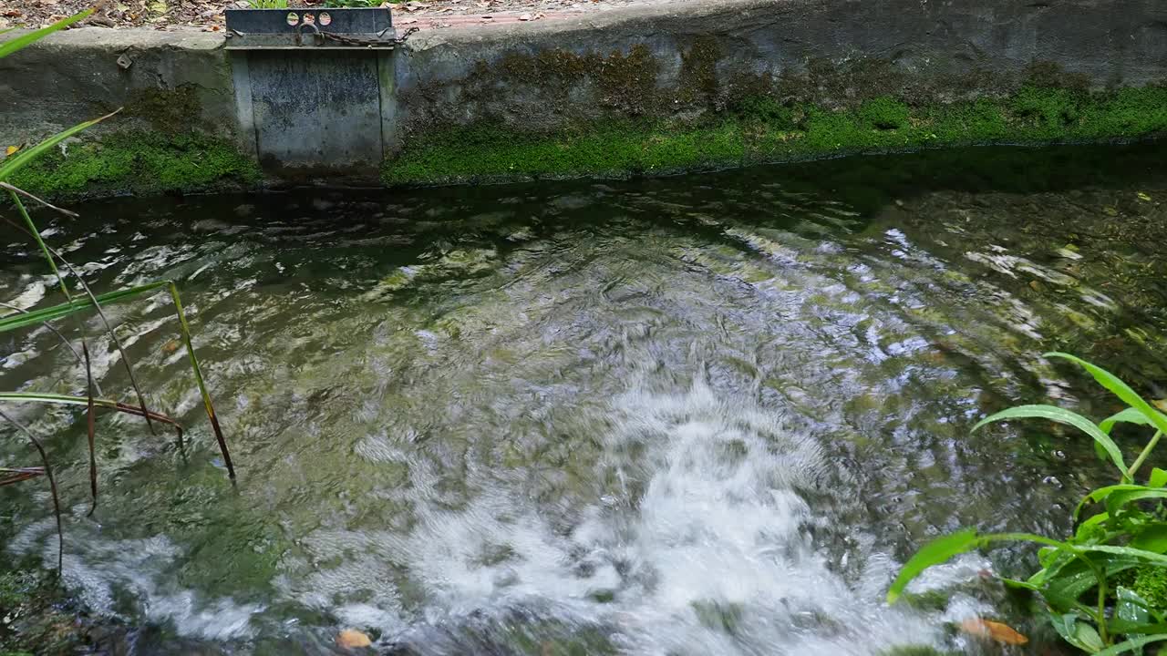 用于灌溉水果和蔬菜田的农业灌溉渠的手动闸门。视频素材