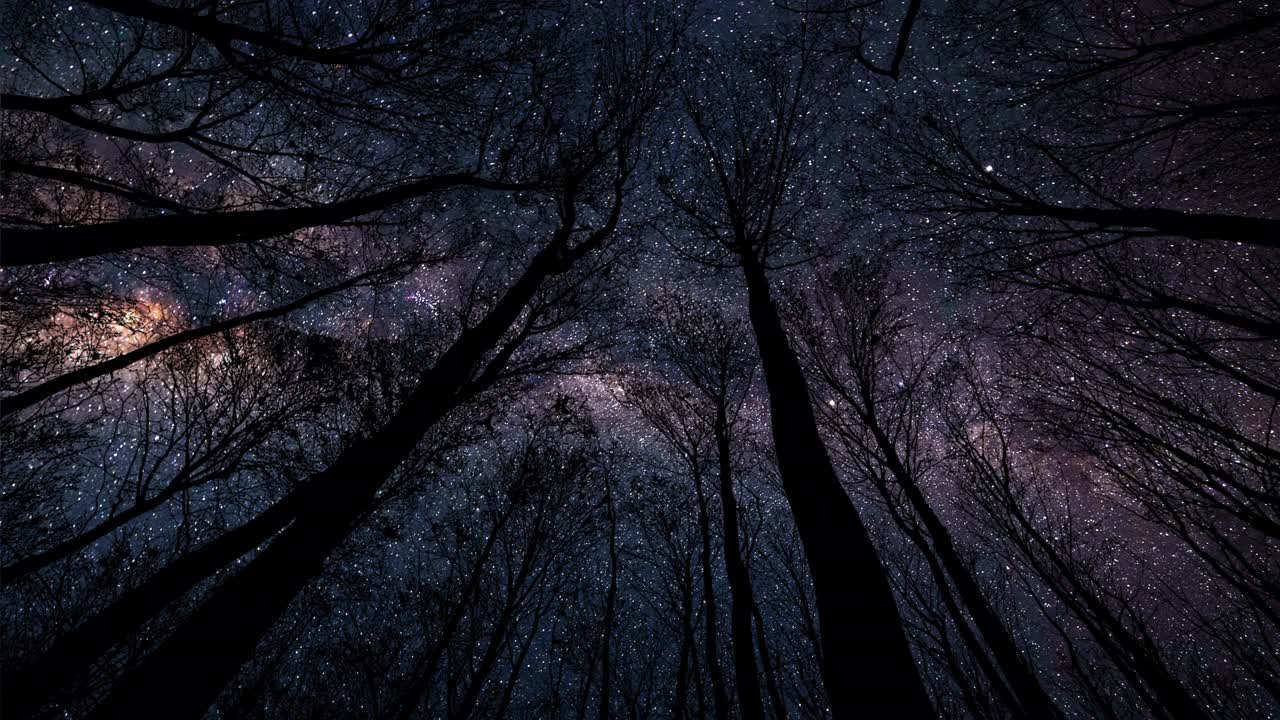 一场流星雨划过清澈的夜空，掠过森林的轮廓视频素材