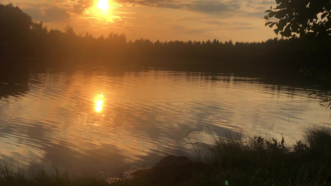 湖上雾蒙蒙的夕阳，一群野鸭在水里游来游去视频素材