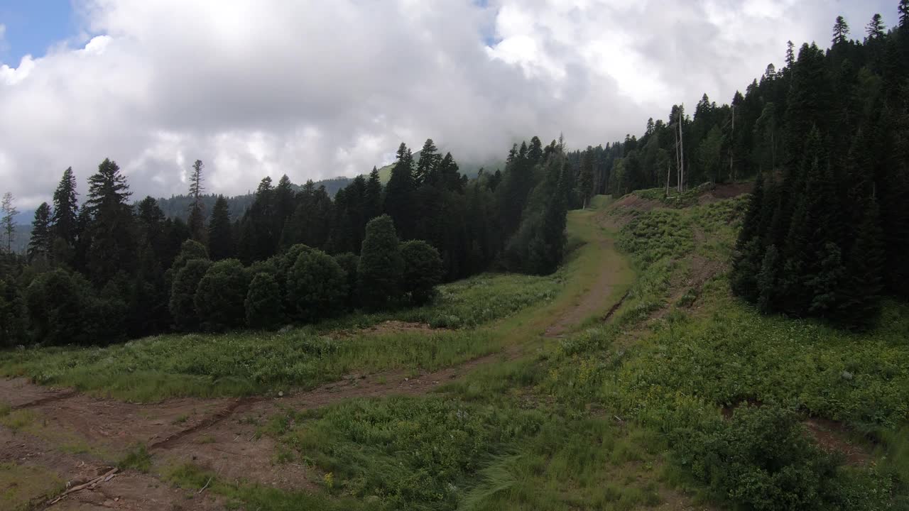 在针叶林上空飞过一条山路，俯视图。夏天的一天。高加索是俄罗斯在欧洲的一部分视频素材