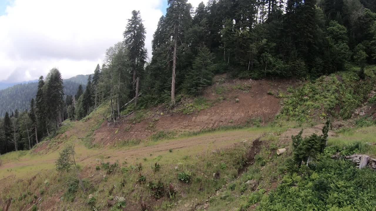 在针叶林上空飞过一条山路，俯视图。夏天的一天。高加索是俄罗斯在欧洲的一部分视频素材