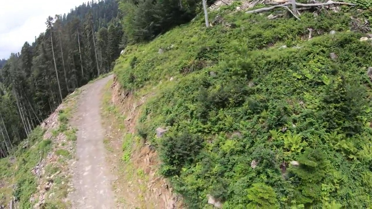 在针叶林上空飞过一条山路，俯视图。夏天的一天。高加索是俄罗斯在欧洲的一部分视频素材