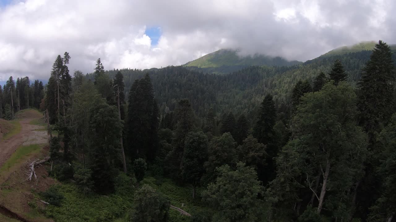 在针叶林上空飞过一条山路，俯视图。夏天的一天。高加索是俄罗斯在欧洲的一部分视频素材