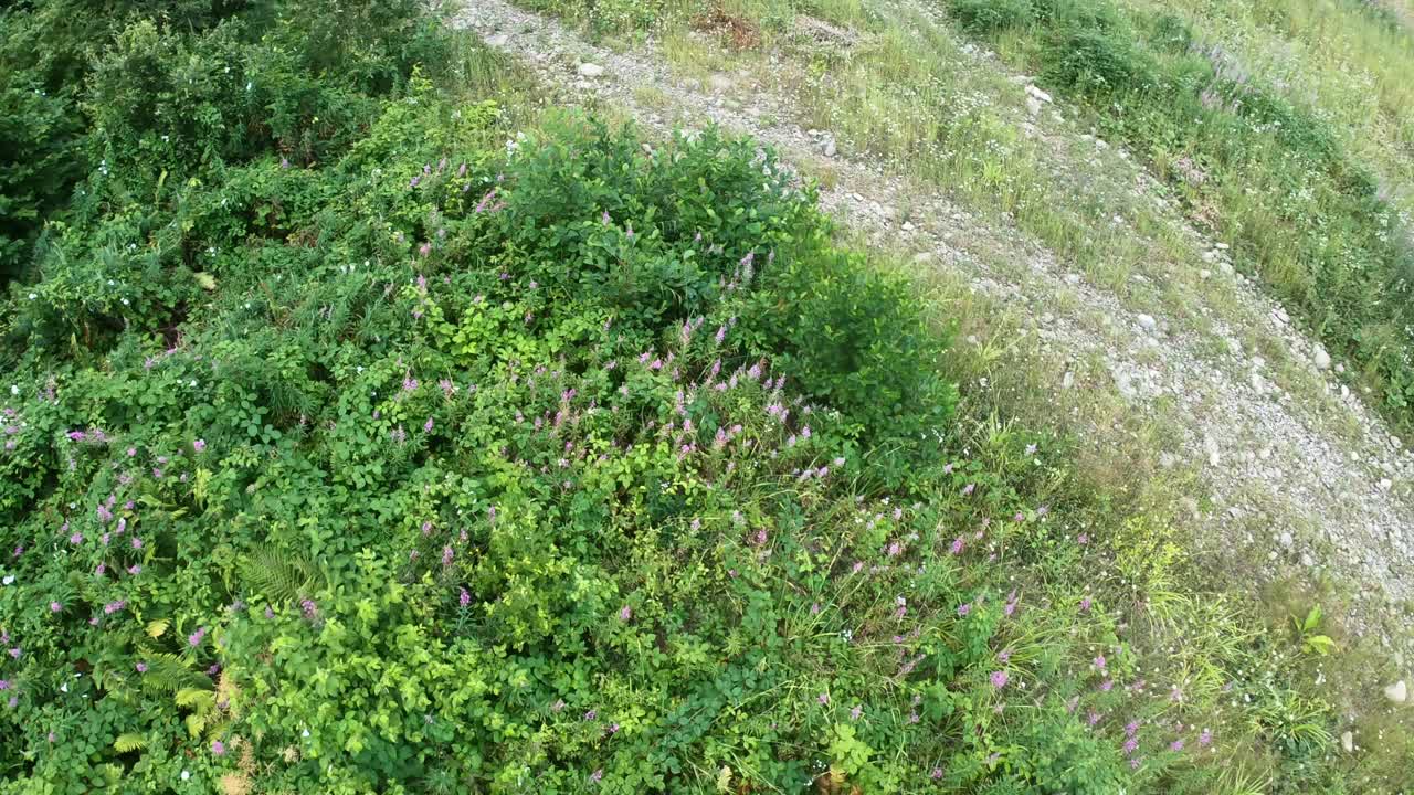 乘坐升降机飞越高山草地和徒步旅行。俯视图，夏日。高加索是俄罗斯在欧洲的一部分视频素材