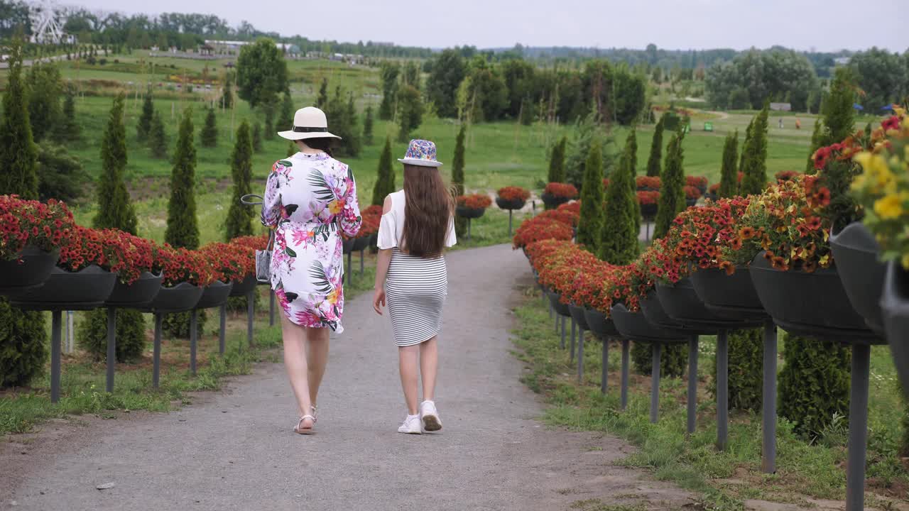 绿化、花卉设计。盛开的喇叭花。植物园。植物园。两个女孩，游客，走在公园里浪漫盛开的小路上视频素材