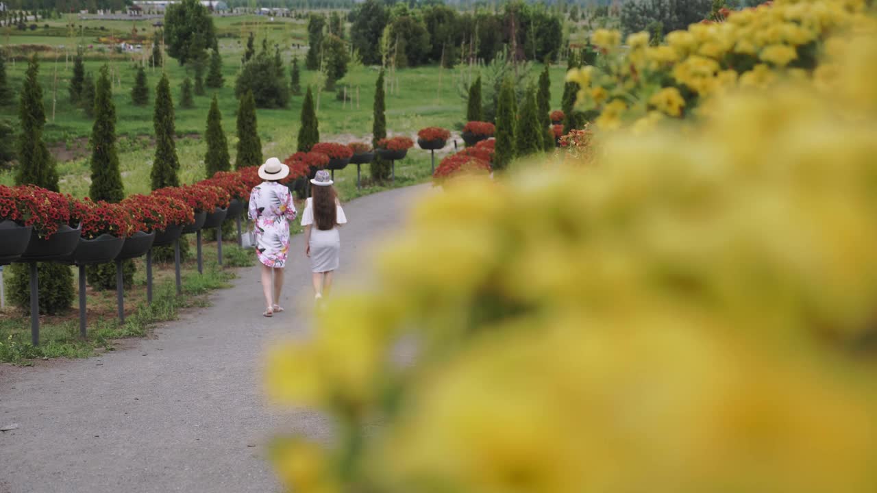 绿化、花卉设计。盛开的喇叭花。植物园。植物园。两个女孩，游客，走在公园里浪漫盛开的小路上视频素材