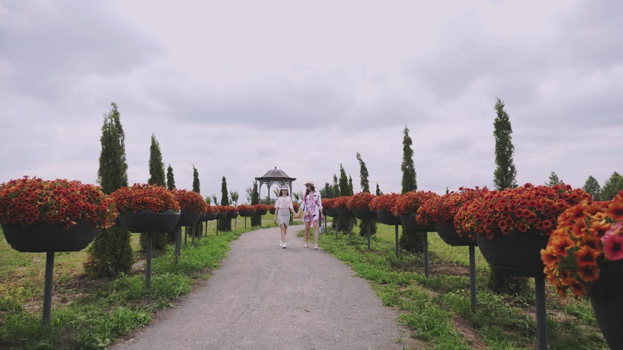 绿化、花卉设计。盛开的喇叭花。植物园。植物园。两个女孩，游客，走在公园里浪漫盛开的小路上视频素材