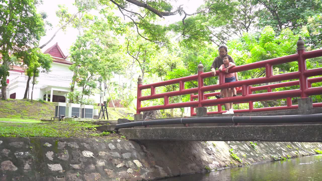 一个蹒跚学步的男孩和母亲站在桥上，一起在自然公园里向前看视频素材