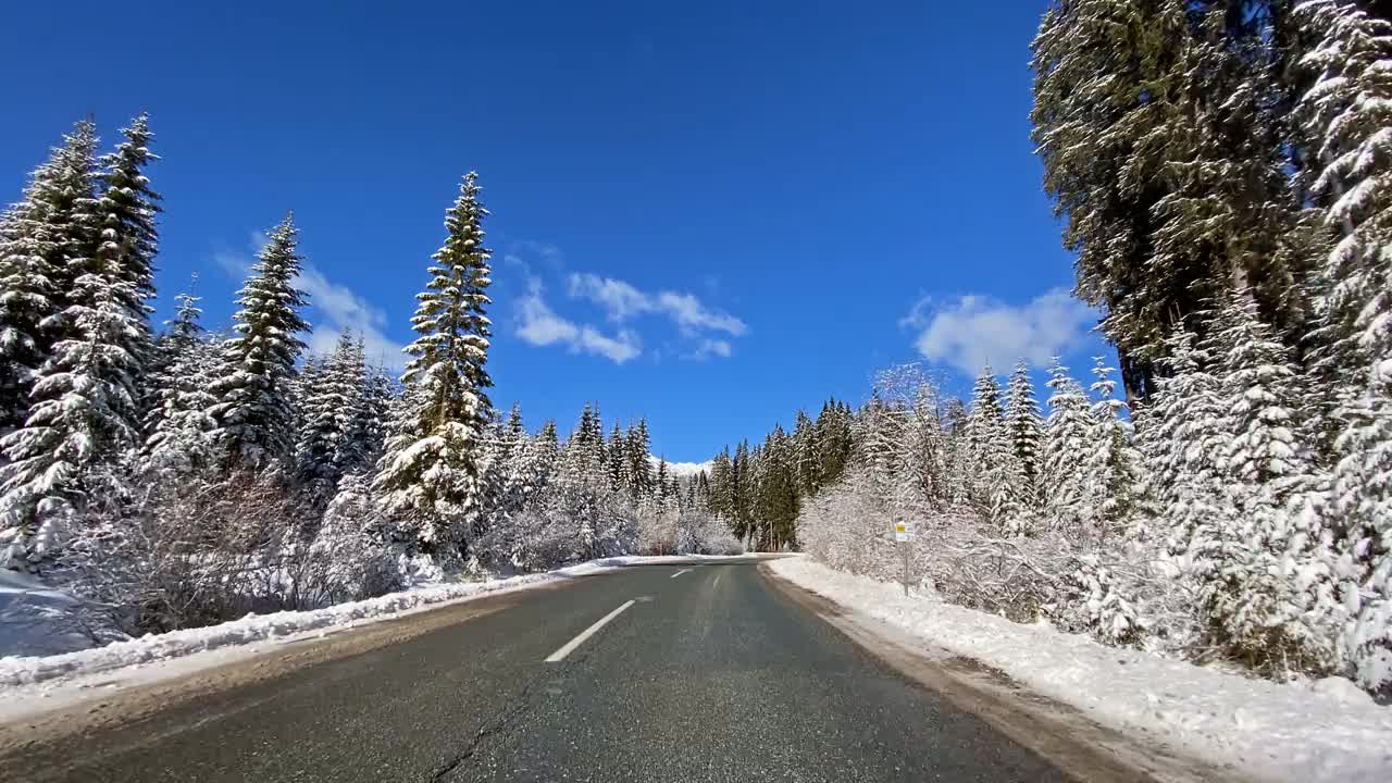 行驶在冰雪覆盖的森林中视频素材