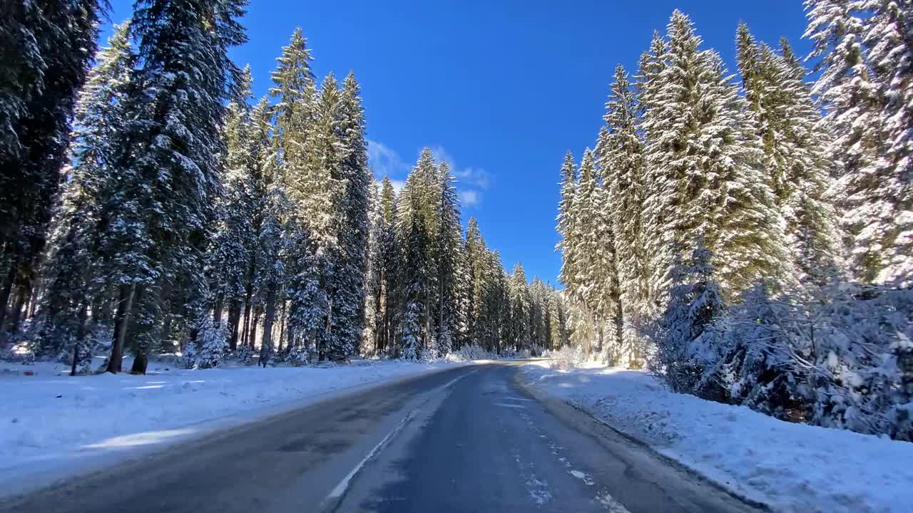 在一个阳光明媚的日子里，在一条空旷的道路上，沿着白雪覆盖的森林行驶视频素材