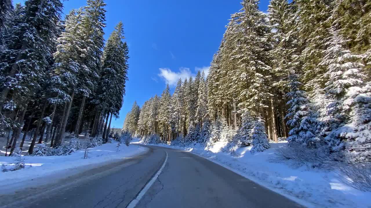 驾车的观点，在雪地的乡村道路穿过雪白的森林视频素材