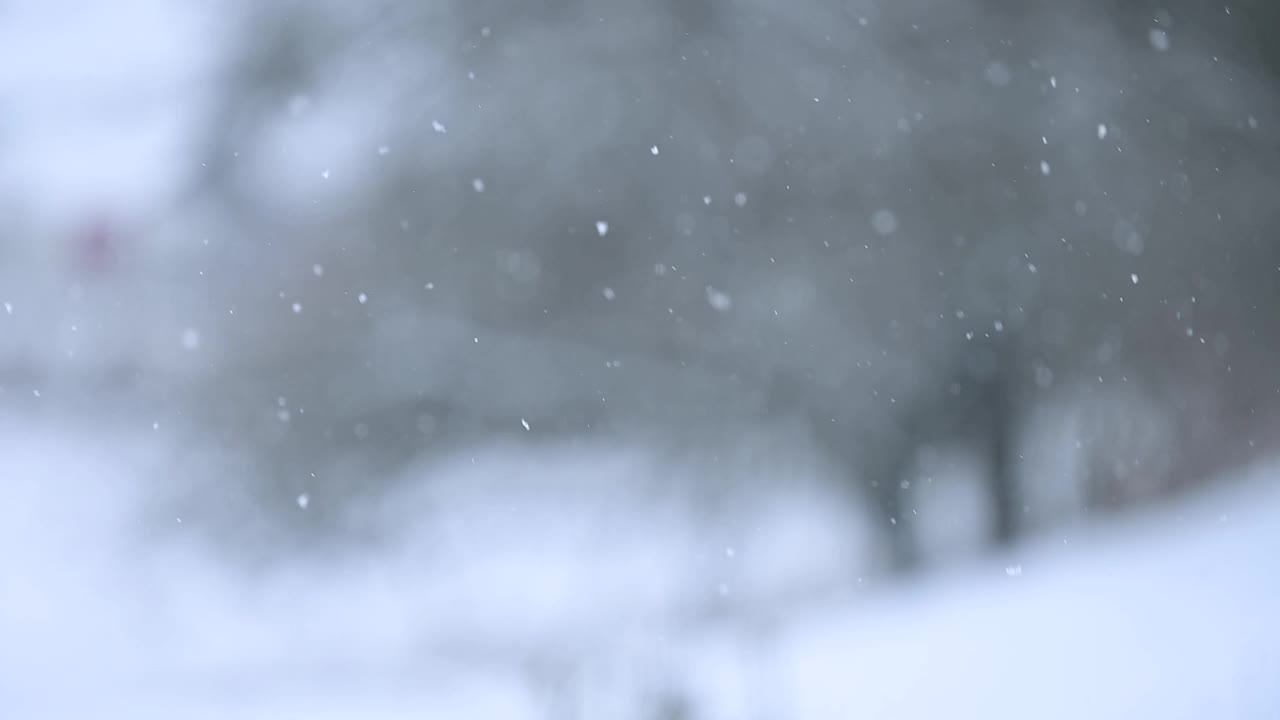 冬天和它的自然现象，雪缓慢移动，白天下雪，从窗口看，美丽如画的雪花景色。视频素材