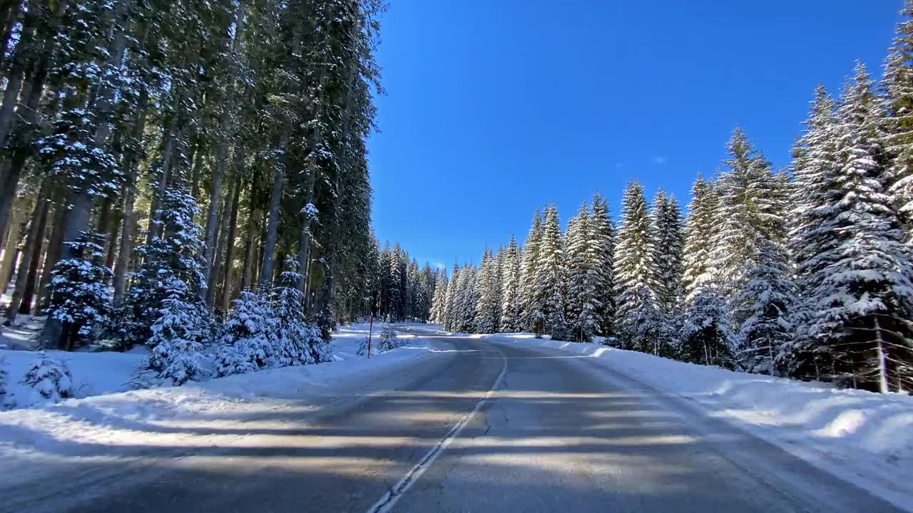 驾车的观点在白雪皑皑的乡村道路穿过白色的森林视频素材