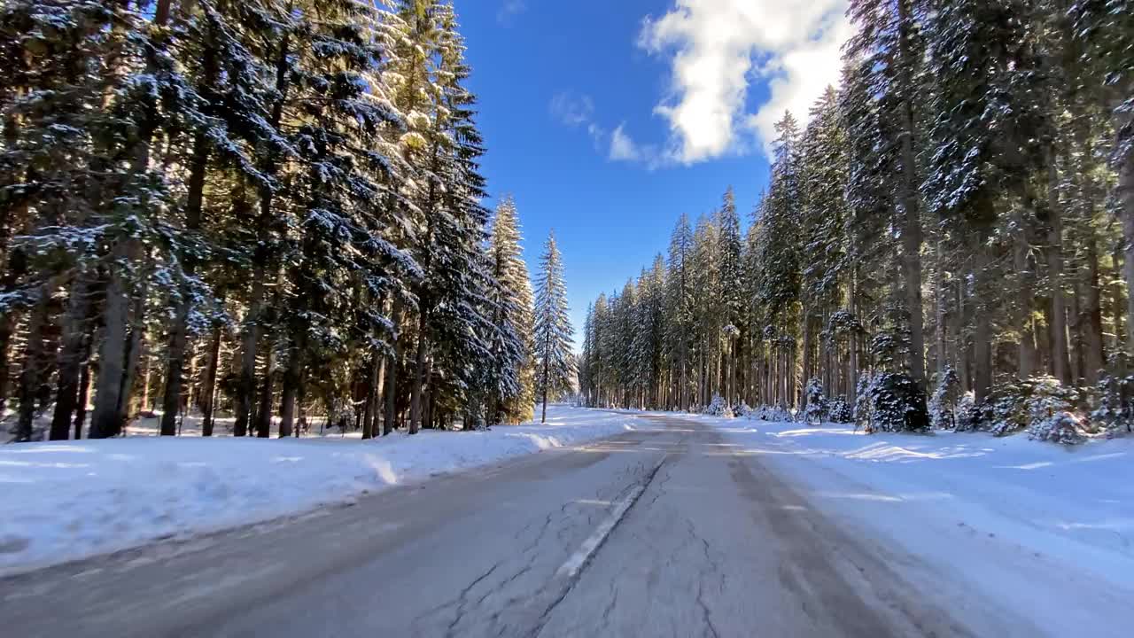 在冰雪覆盖的森林里，行驶在冬日的道路上视频素材