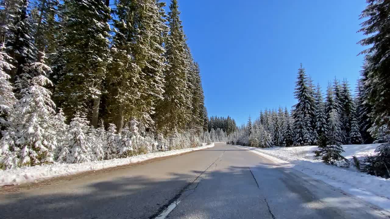 行驶在冰雪覆盖的森林中视频素材