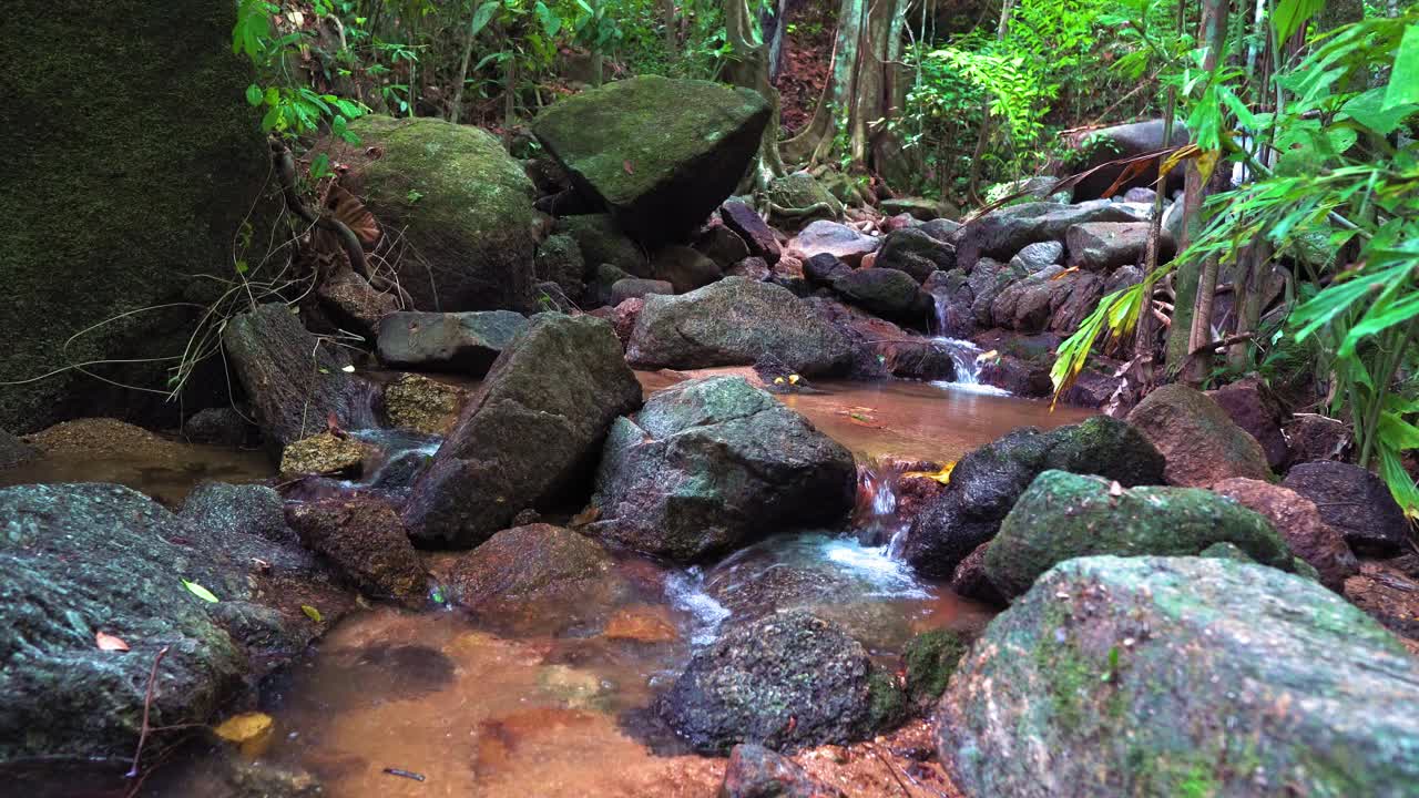 森林里的山涧里有泉水。水从石头上流过。山区河流视频素材