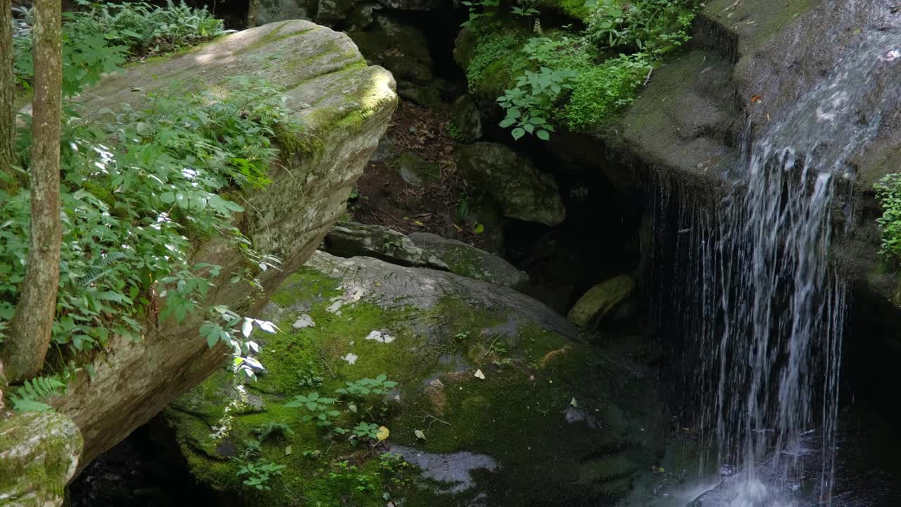 水流过石面，阳光下小昆虫飞来飞去。水獭瀑布在七魔鬼，北卡罗莱纳，美国。由长满苔藓的岩石构成的场景。视频素材