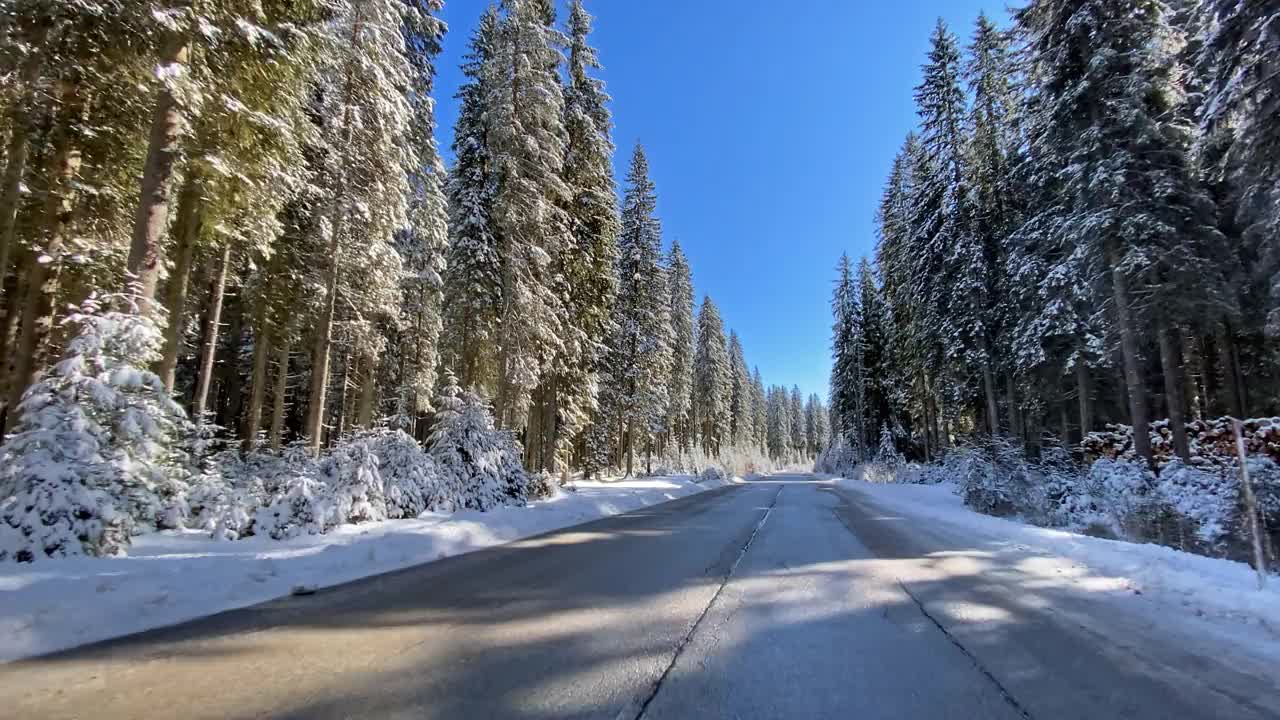 在一个阳光明媚的日子里，在一条空旷的道路上，沿着白雪覆盖的森林行驶视频素材