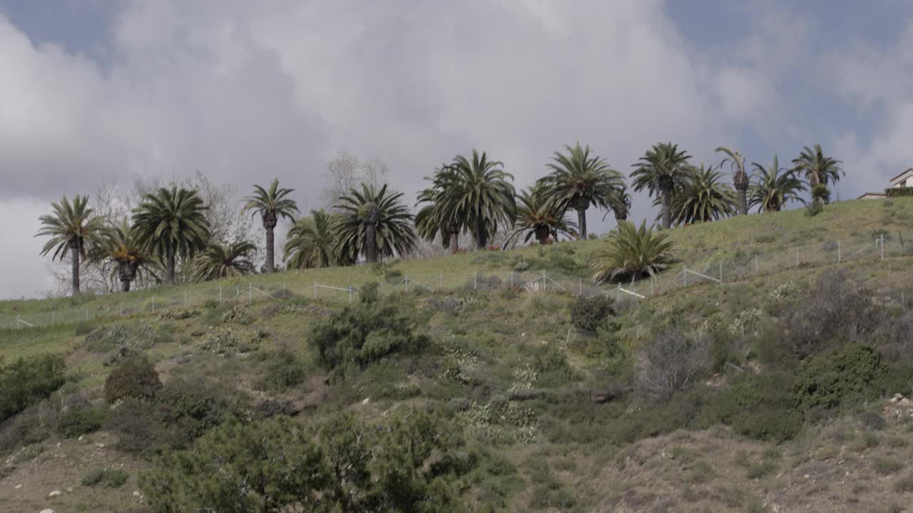 从棕榈树和山坡到海滩小屋。海滩上可以看到穿泳衣的人。海滨别墅前可见的帆船。视频素材