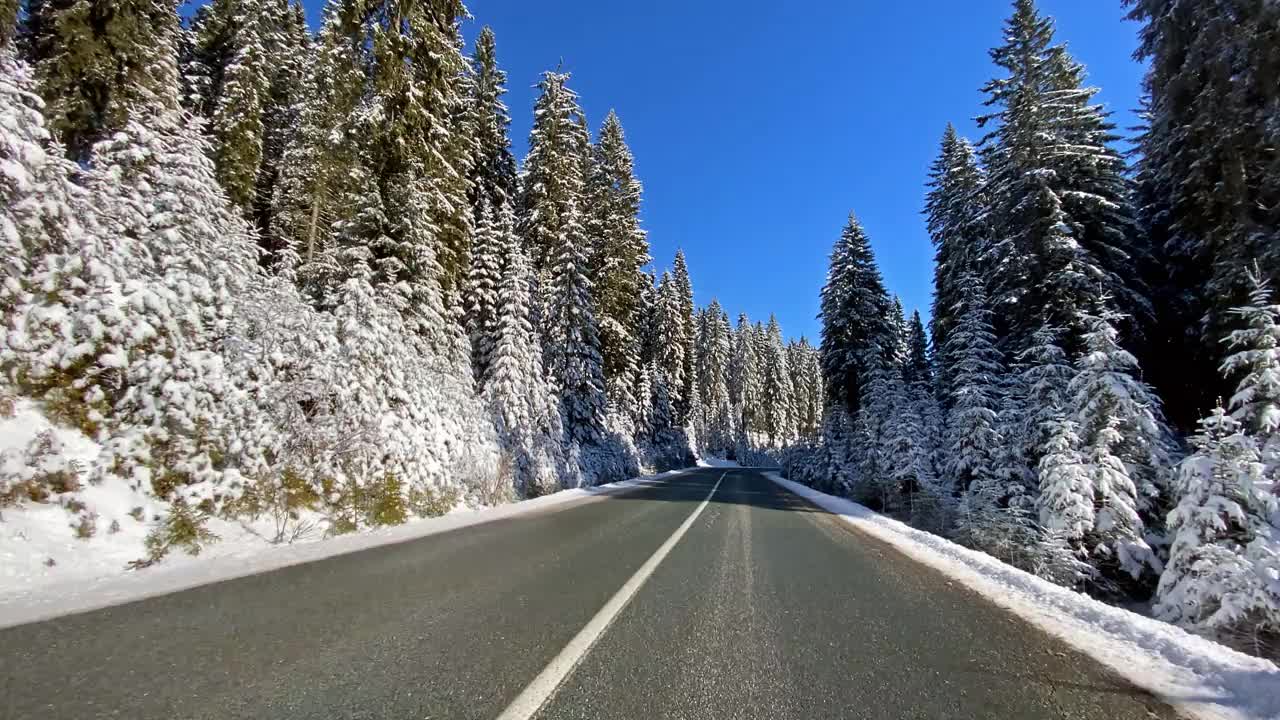 在冬天，沿着白雪皑皑的森林，行驶在空旷的道路上视频素材