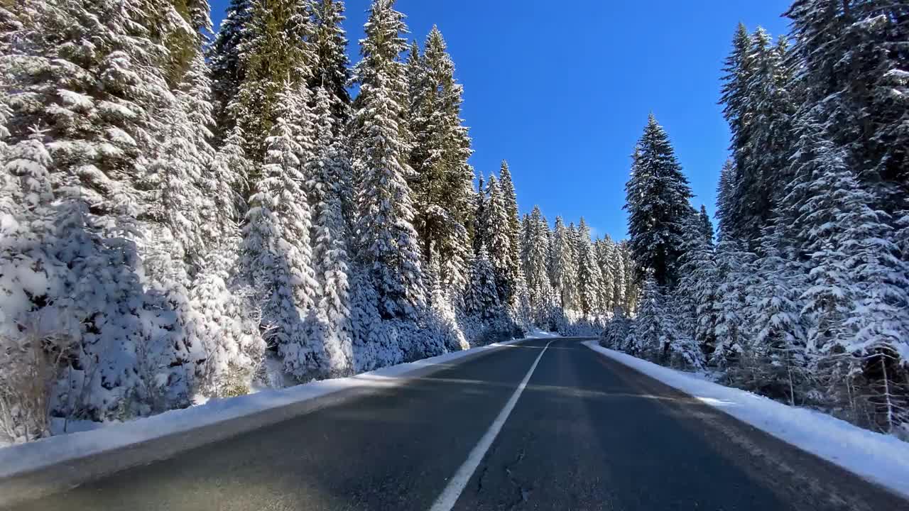 驾车的观点在白雪皑皑的乡村道路穿过白色的森林视频素材